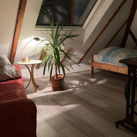 Privates Appartment Ferienwohnung Im Einfamilienhaus Düsseldorf Buitenkant foto